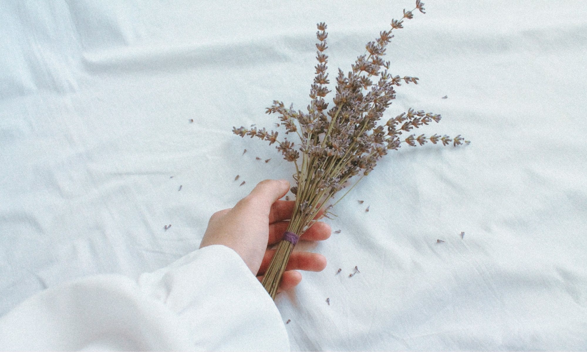 Telehealth Appointments