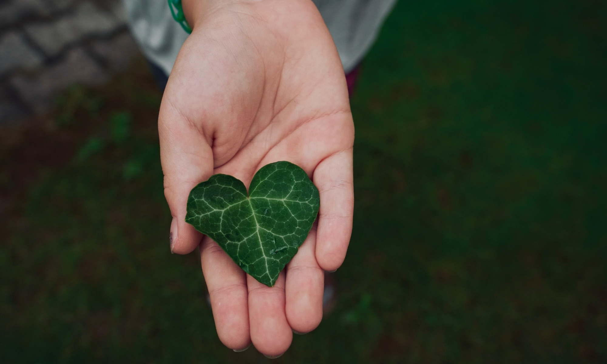 A person holds a green, heart-shaped leaf in their open palm against a blurred outdoor background.