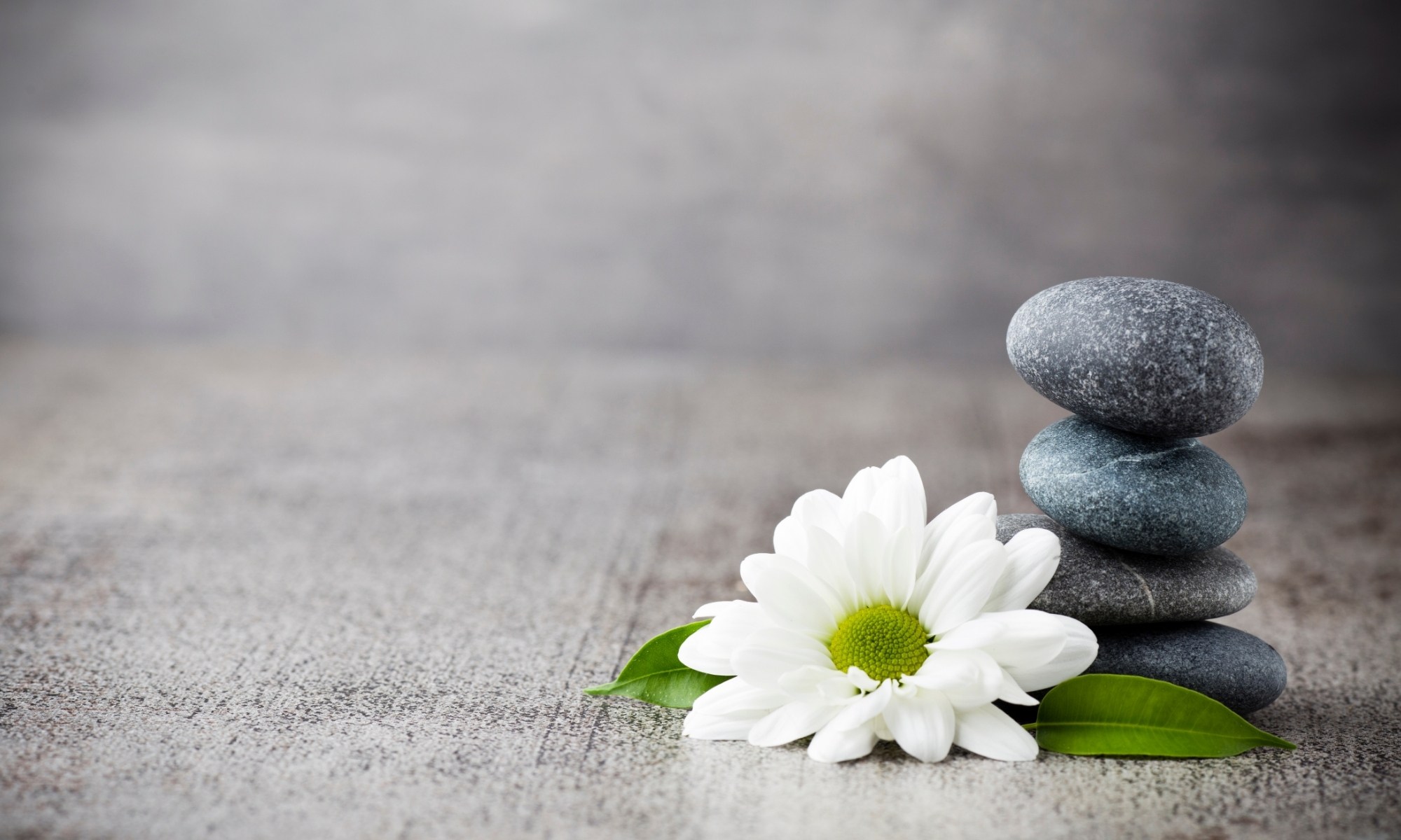 Three smooth gray stones are stacked beside a white daisy flower and green leaves on a textured surface with a neutral background.